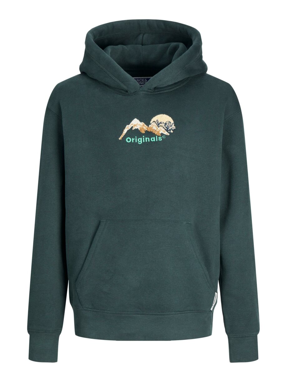 JACK&JONES JUNIOR - JORSILVERLAKE SWEAT HOOD JNR