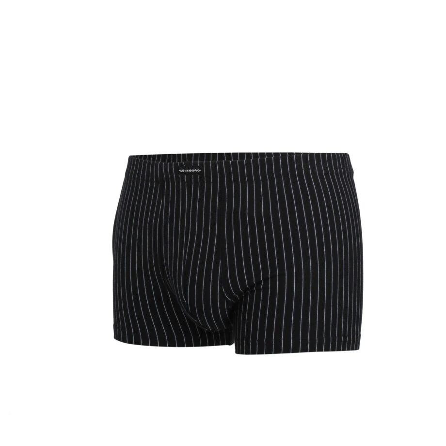 GÖTZBURG Herren Pants längsgestreift 2er Pack