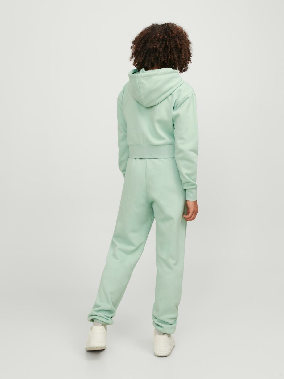 JJXX - JXABBIE REG LS EVERY ZIP HOOD SWT NOOS