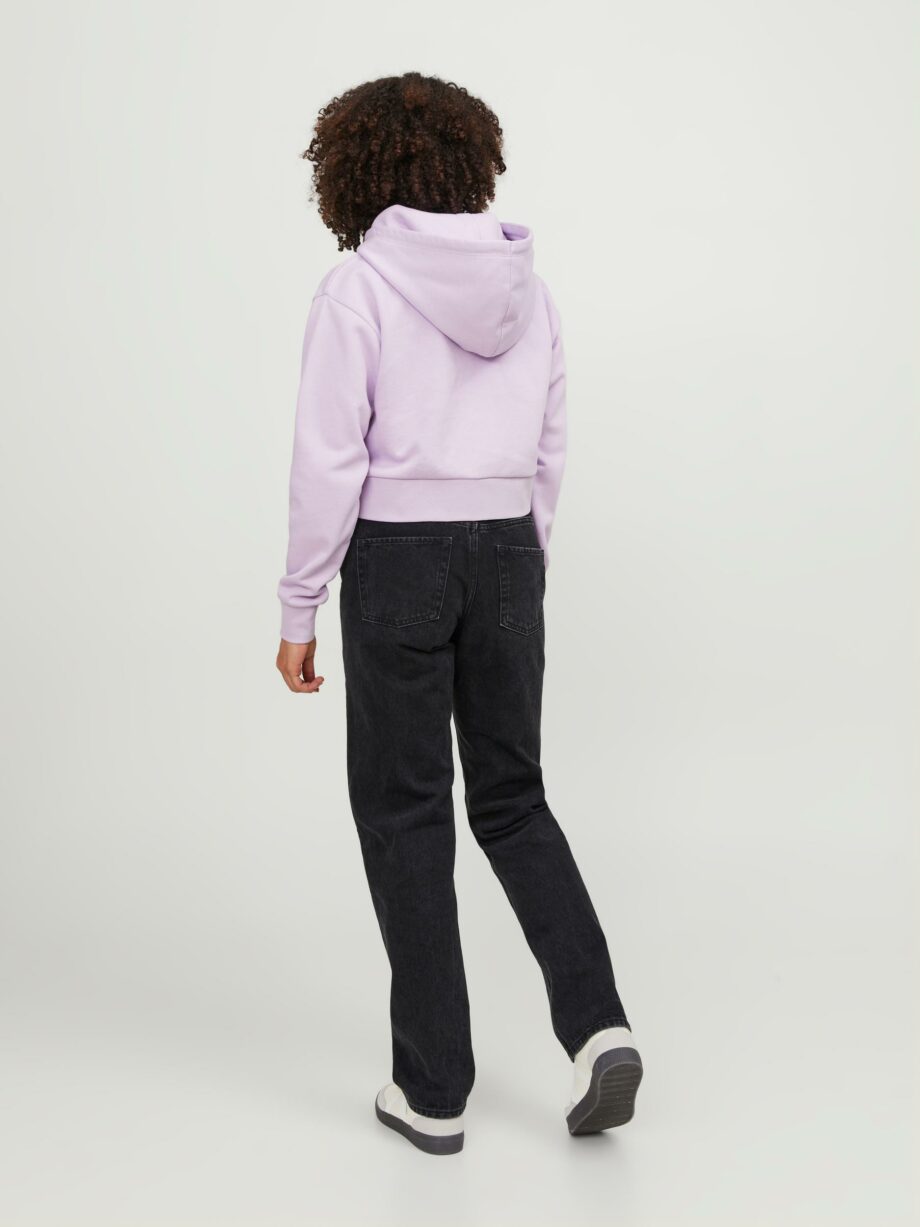 JJXX - JXABBIE REG LS EVERY ZIP HOOD SWT NOOS