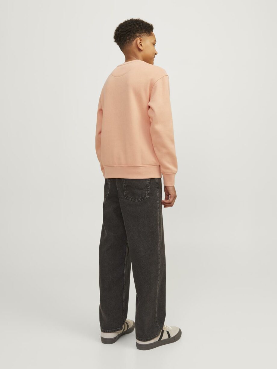 JACK&JONES JUNIOR - JJORVESTERBRO SWEAT CREW NECK NOOS JNR
