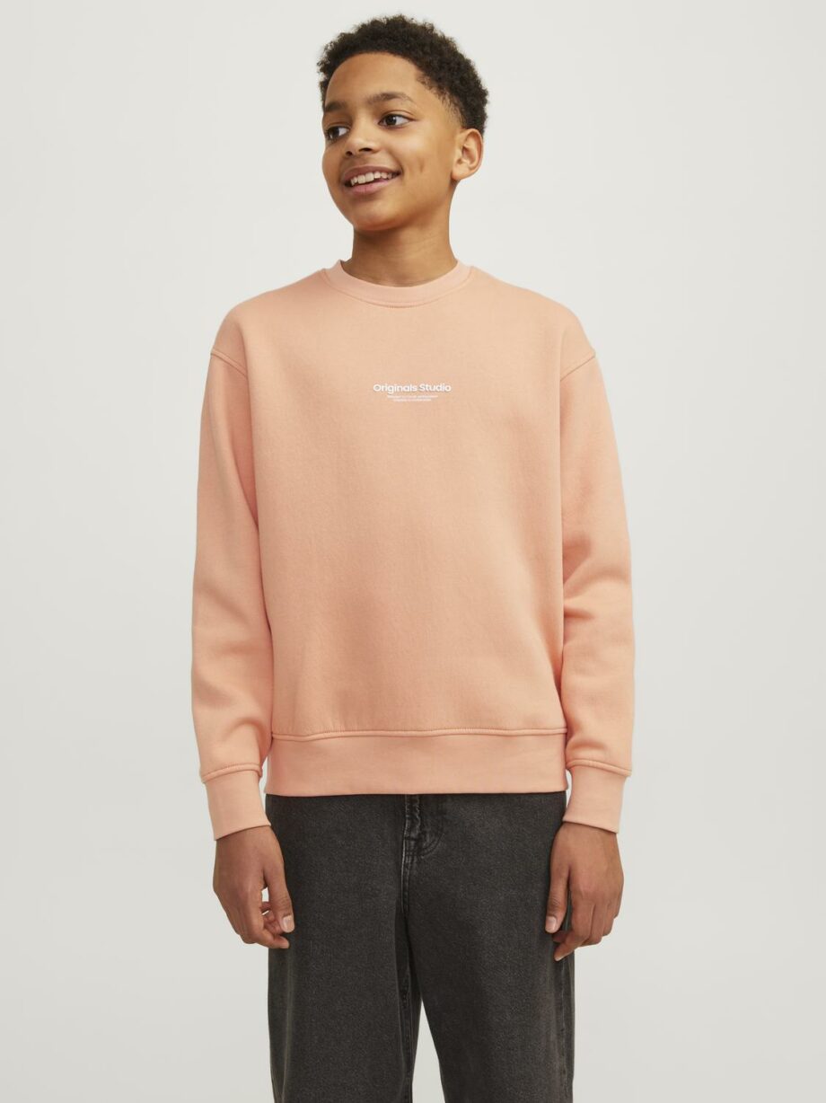 JACK&JONES JUNIOR - JJORVESTERBRO SWEAT CREW NECK NOOS JNR